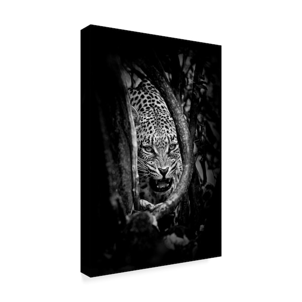 John Moulds 'Leopards Lair' Canvas Art,12x19